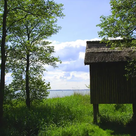 Mueritz-park Boek