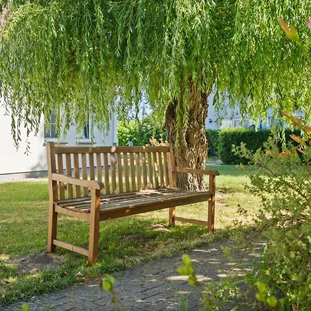 Отель Mueritz-park 3*