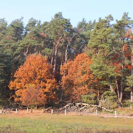 Отель Mueritz-park 3*