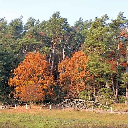 Mueritz-park Boek