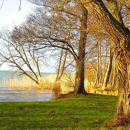 Mueritz-park Boek