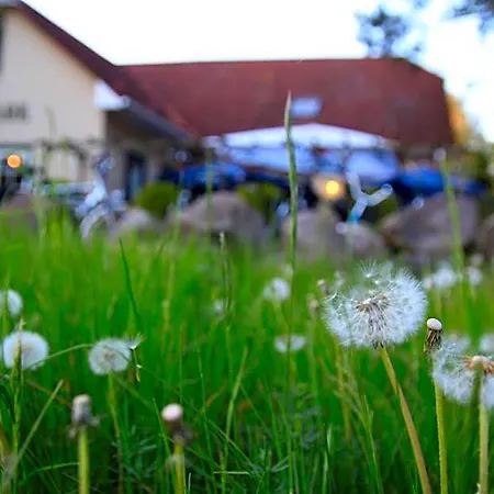 Mueritz-park Hotel