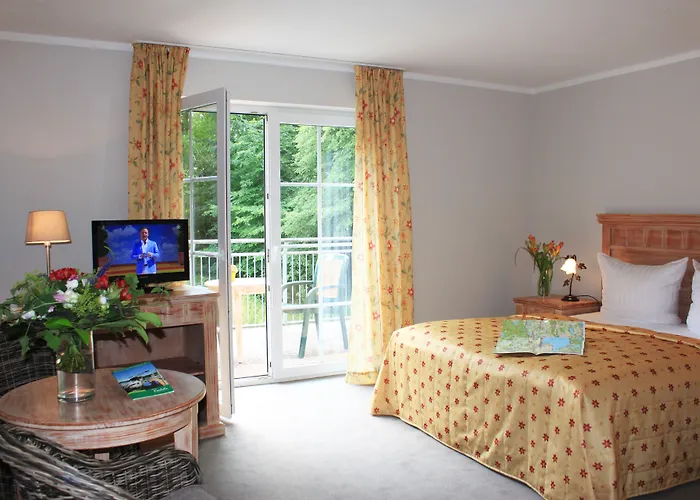 Отель Mueritz-park 3*