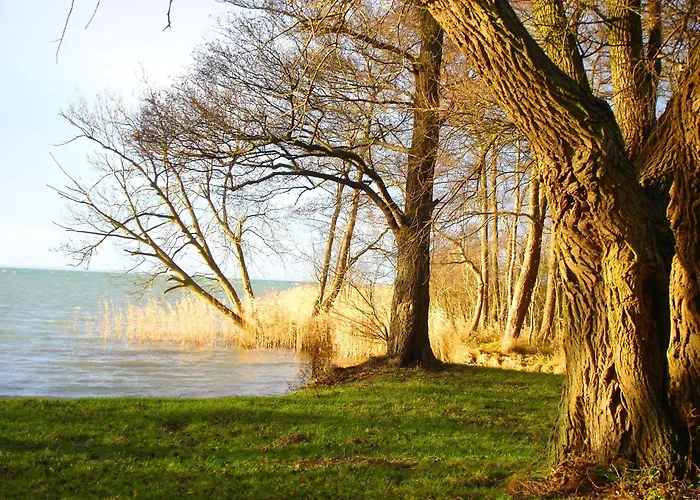 Отель Mueritz-park