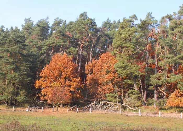 Отель Mueritz-park 3*